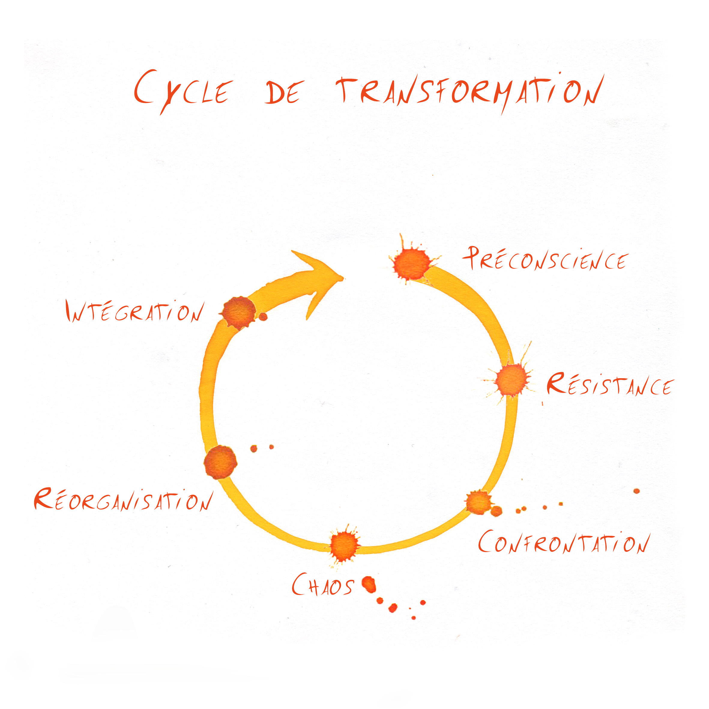 Le cycle de transformation – Integral Presence